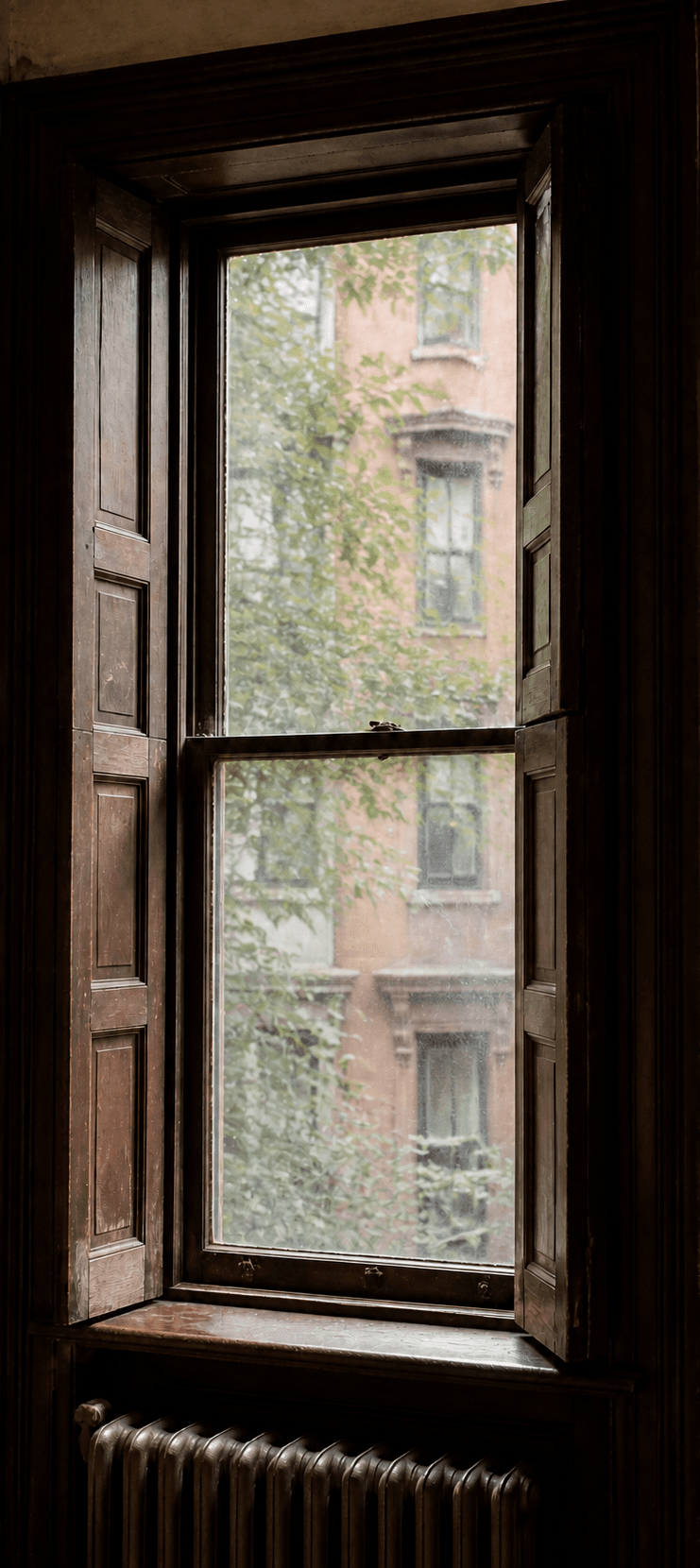 A tall sash window with wooden shutters looking onto an ivy-covered brownstone facade